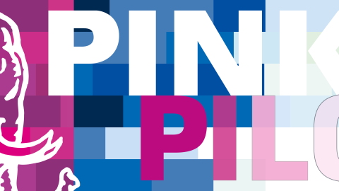 PinkPilot Logo v1