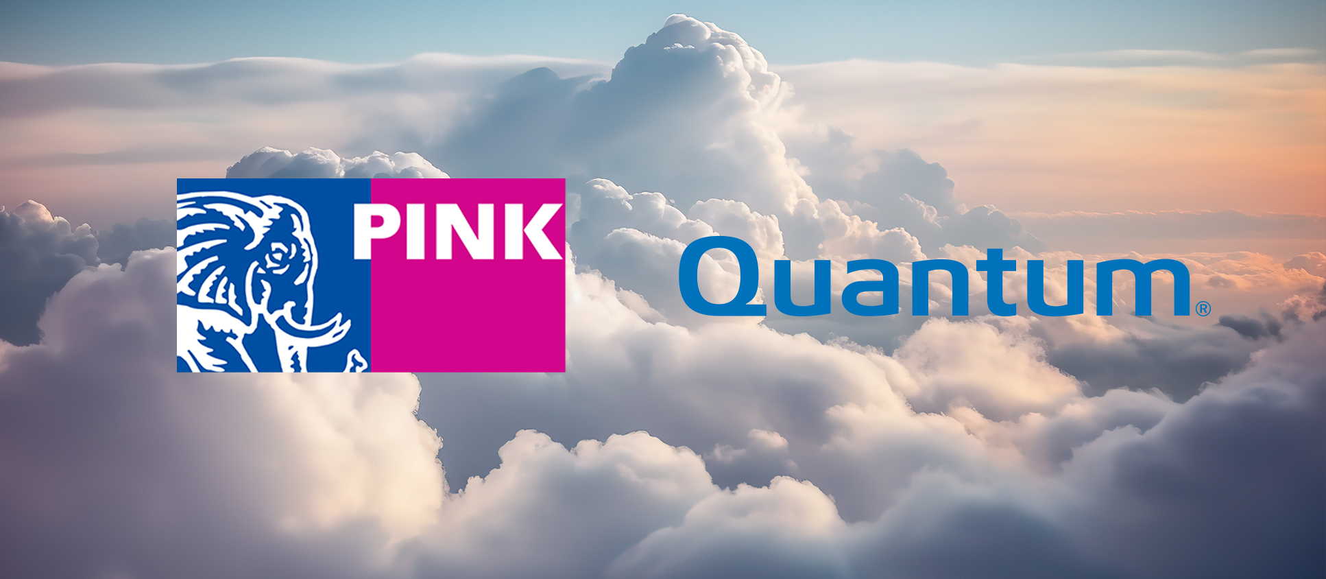 Quantum en Pink Elephant bundelen krachten voor duurzame en betaalbare ...